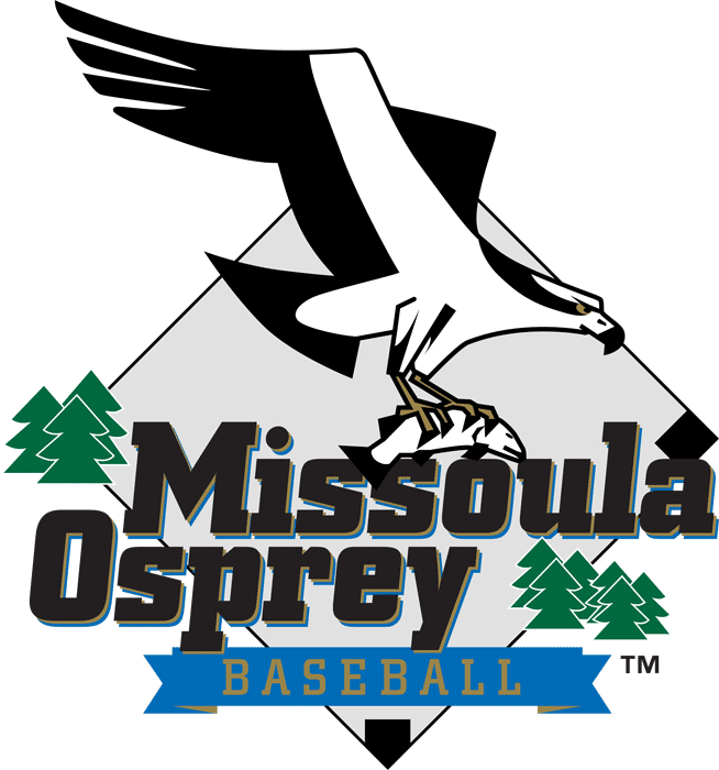 Missoula Osprey 1999-Pres Primary Logo iron on transfers for T-shirts